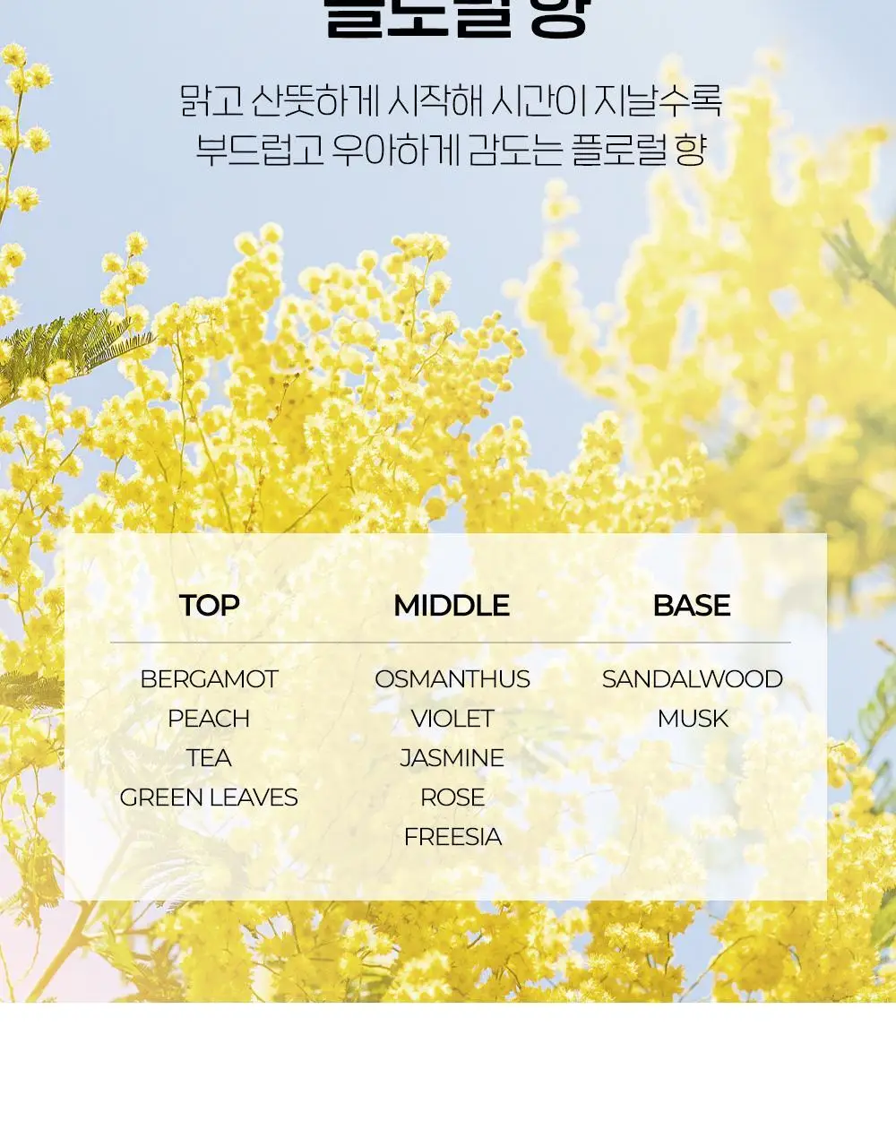 [NEW] 에뛰드 팡팡 헤어카라 픽서 10ml (브러쉬 증정 기획 / 단품) 상세페이지 14